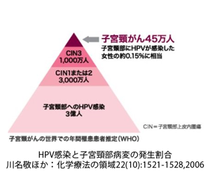 HPV感染と子宮病変の発生割合